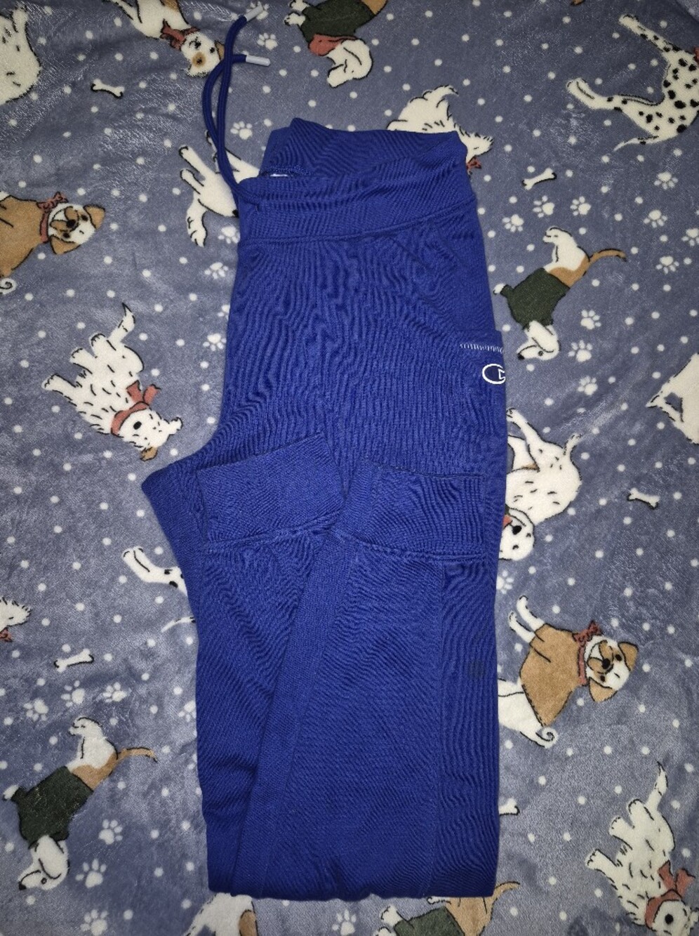 Blue Knit Champion Jogger Pants
